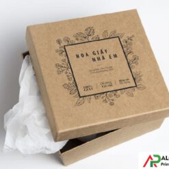 Hộp giấy kraft nắp gài
