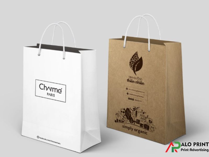 Tiêu chuẩn túi giấy cao cấp