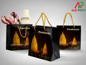 In túi giấy Bình Dương