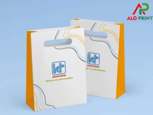 In túi giấy quận 9