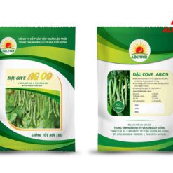 Kỹ thuật in ấn bao bì PP