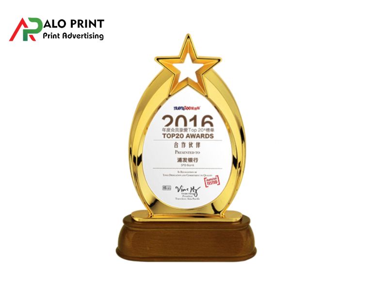 Kỷ niệm chương kết hợp nhiều chất liệu