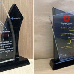 Kỷ niệm chương thủy tinh mẫu 5, mẫu 6