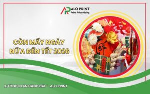 Còn Mấy Ngày Nữa Đến Tết Âm Lịch Bính Ngọ 2026