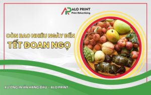 Còn Bao Nhiêu Ngày Nữa Đến Tết Đoan Ngọ 2026 Mùng 5 Tháng 5