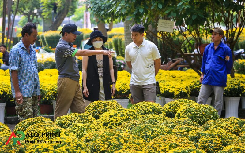 Kinh doanh hoa Tết và cây cảnh mini