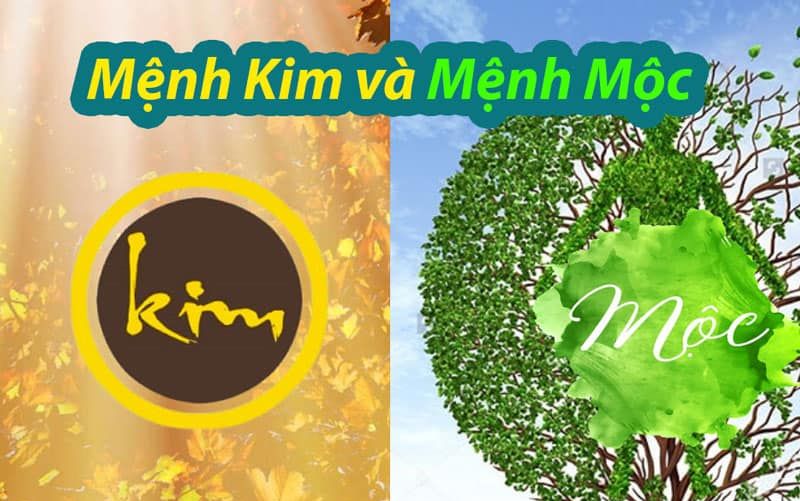 Các mệnh tương sinh với năm 2026 Các mệnh tương sinh với năm 2026