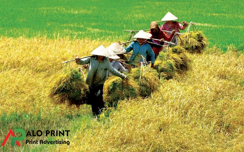 Ảnh hưởng đến nông nghiệp và đời sống tâm linh