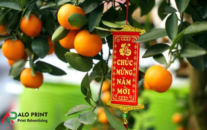 Ý Nghĩa Của Cây Quất Ngày Tết Trong Phong Thủy Và Đời Sống