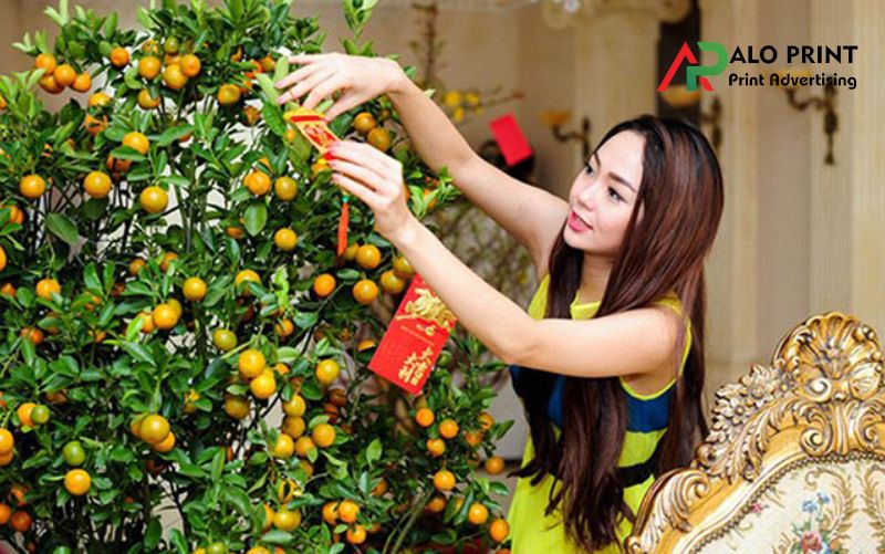 Vị trí đặt cây quất hợp phong thủy trong nhà Vị trí đặt cây quất hợp phong thủy trong nhà