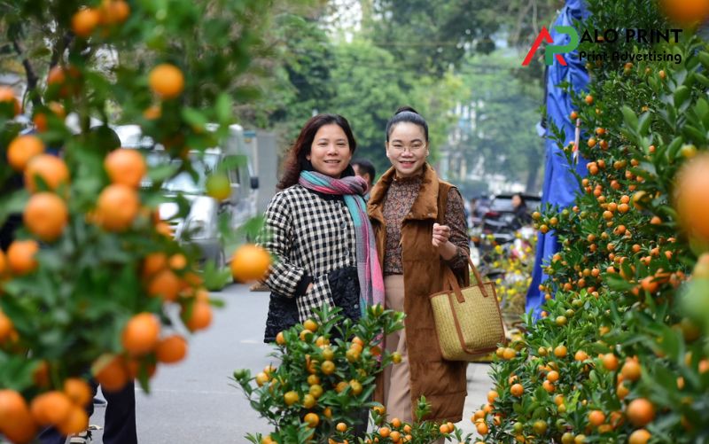 Cách chọn cây quất đẹp, dáng chuẩn, quả vàng đều Cách chọn cây quất đẹp, dáng chuẩn, quả vàng đều